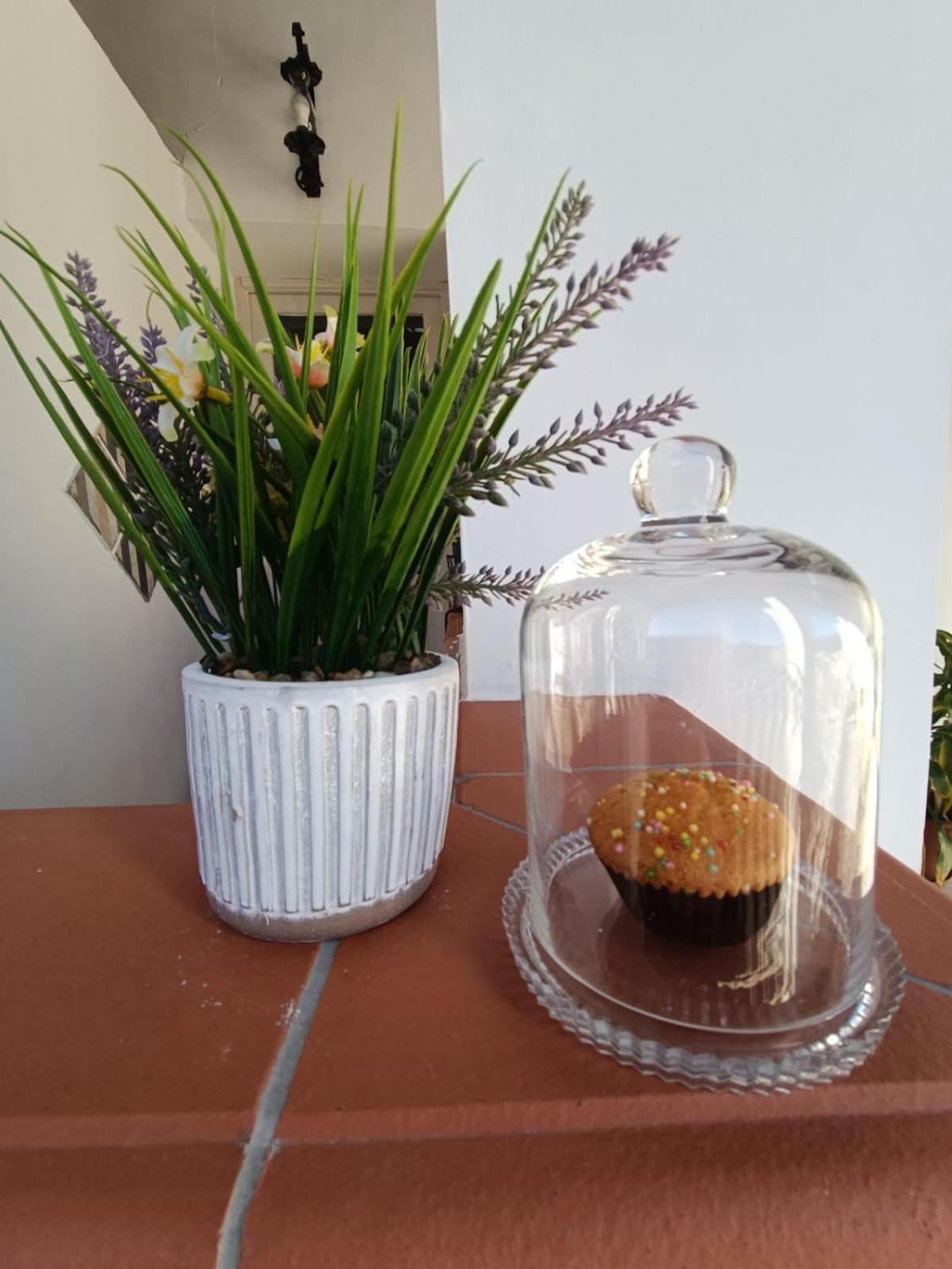 Goti Rooms B&B SantʼAgata deʼ Goti Bagian luar foto